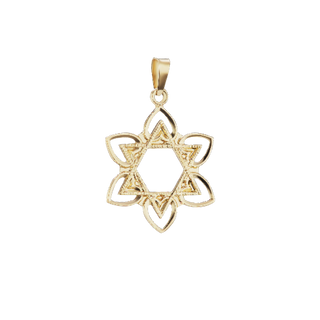 14K Gold Star of David with Flower Pendant (20 mm)