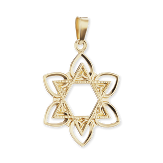 14K Gold Star of David with Flower Pendant (28 mm)