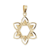 14K Gold Star of David with Flower Pendant (28 mm)